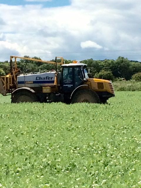 IMG_1869 - Chaffer Sprayer in Crops