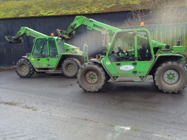 IMG_1872 - Merlo in pairs
