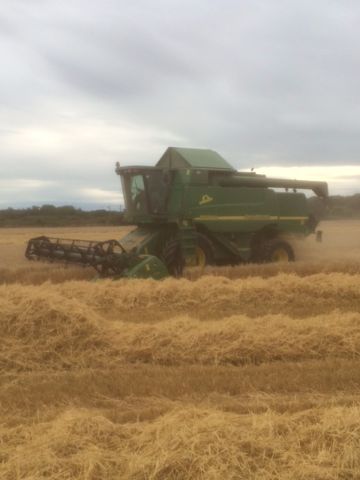 IMG_1874 - Combine in Field