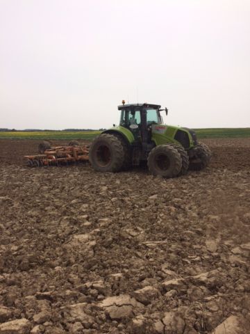 IMG_1875 - Plough