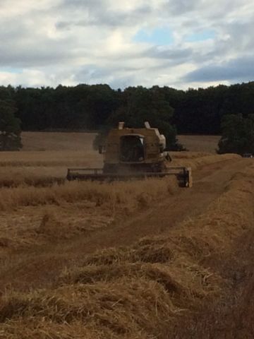 IMG_1883 - Combine