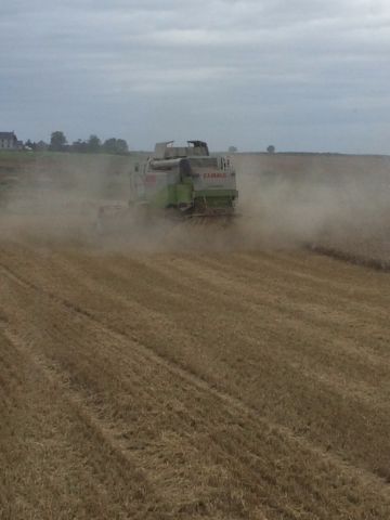 IMG_1885 - Combine 2