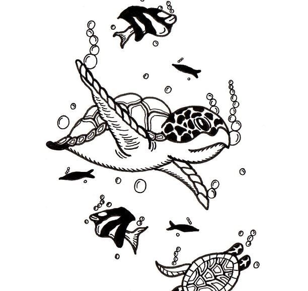 Sea Turtle And Fish Drawing By Artist Sharon Godwin www.sgodwinstudio.co.uk