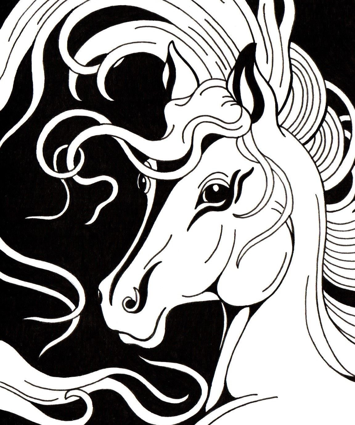 Horse Animal Drawing by Kent Artist Sharon Godwin www.sgodwinstudio.co.uk
