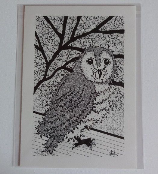 Barn Owl - Signed Original Artwork For Sale | S Godwin Studio