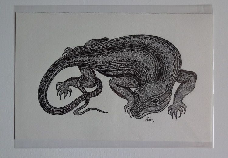 Lizard - Signed Original Drawing For Sale | S Godwin Studio