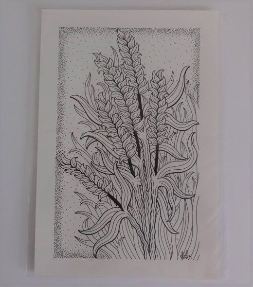 Wheat Corn - Signed Original Drawing For Sale | S Godwin Studio