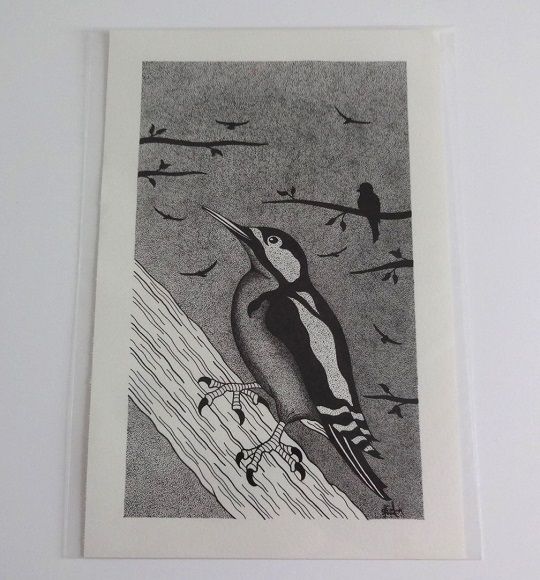 Woodpecker - Signed Original Drawing For Sale | S Godwin Studio