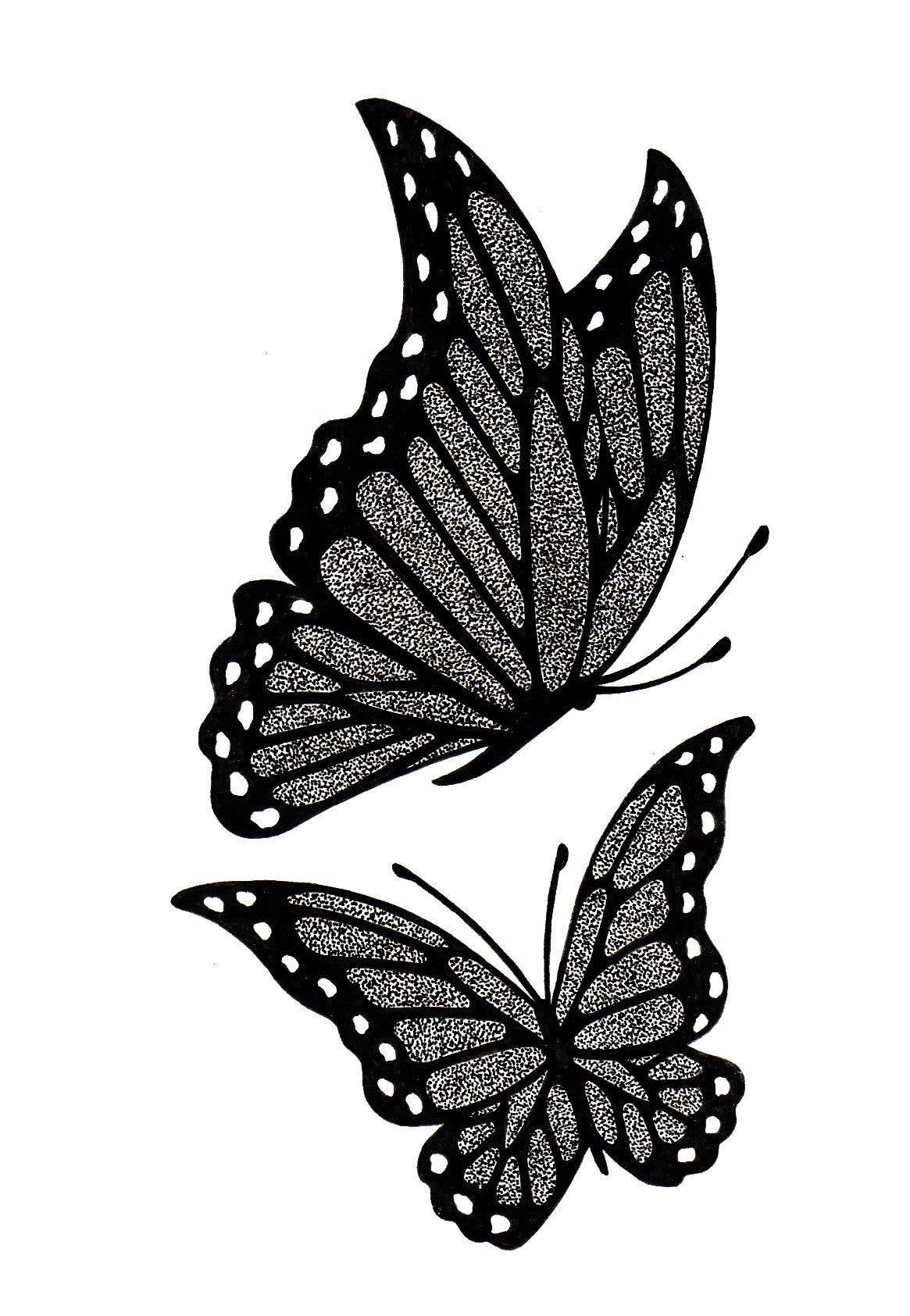 Butterflies Drawing by Artist Sharon Godwin www.sgodwinstudio.co.uk