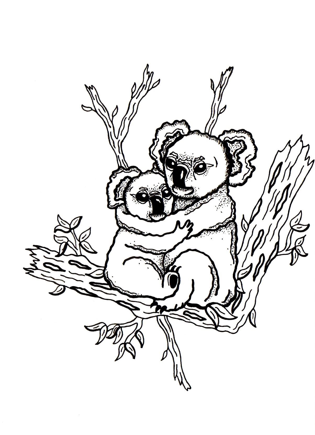 Koala Bears Mother and Baby Drawing by Artist Sharon Godwin www.sgodwinstudio.co.uk
