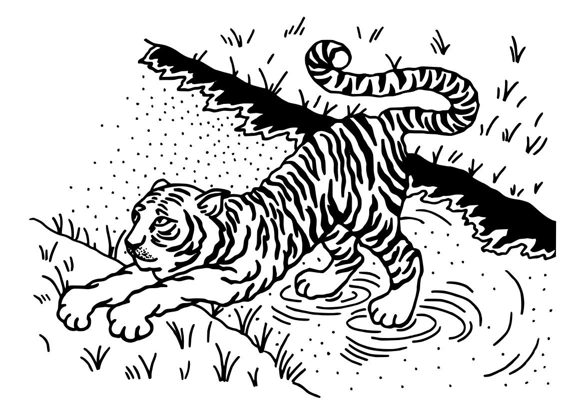 Tiger Stretching Drawing by Artist Sharon Godwin www.sgodwinstudio.co.uk
