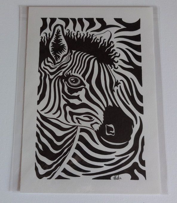 Stripes Of A Zebra Original Pen And Ink Drawing By English Artist Sharon Godwin