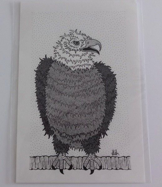 A Fearless Bald Eagle Original Pen And Ink Drawing By English Artist Sharon Godwin