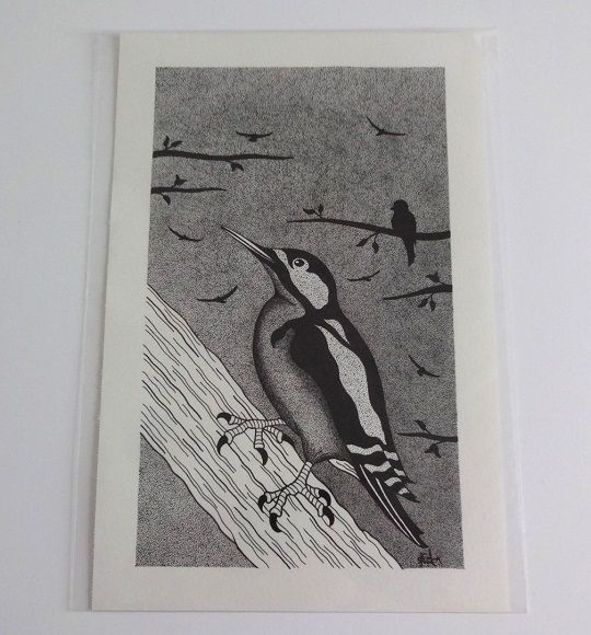 Woodpecker Original Pen And Ink Drawing By English Artist Sharon Godwin