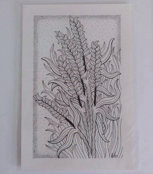 Wheat Original Pen And Ink Drawing By English Artist Sharon Godwin