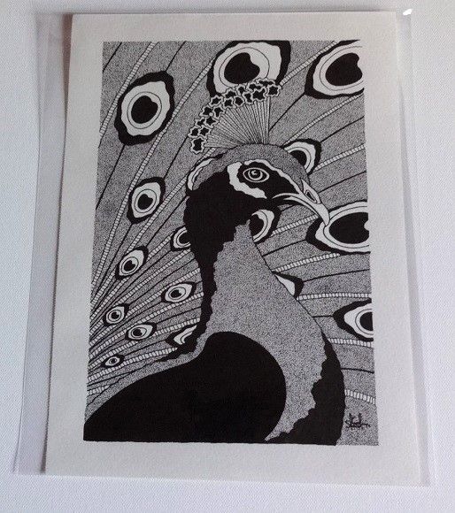 Peacock Original Pen And Ink Drawing By English Artist Sharon Godwin