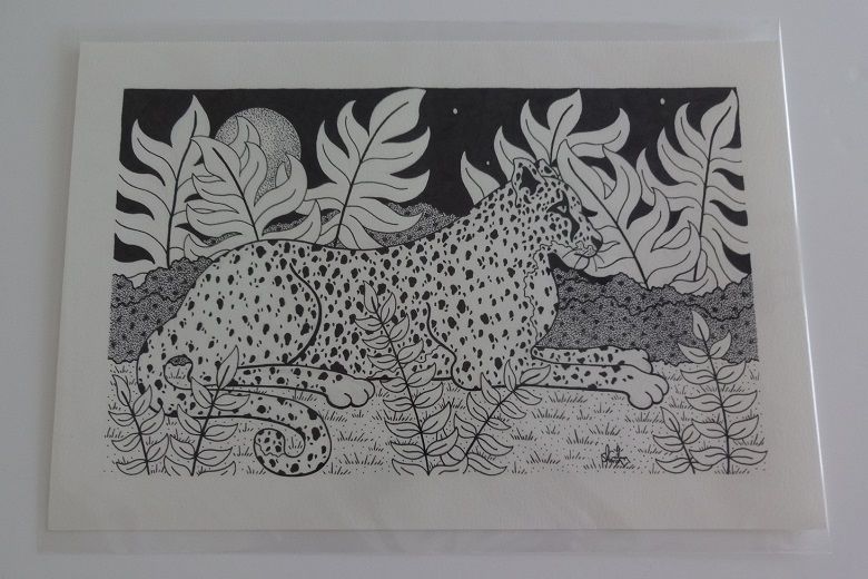 Cheetah Resting Original Pen And Ink Drawing By English Artist Sharon Godwin