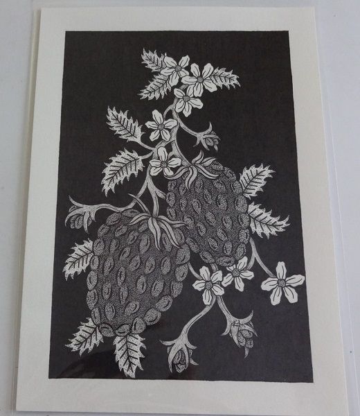 Raspberry Plant Original Pen And Ink Drawing By English Artist Sharon Godwin