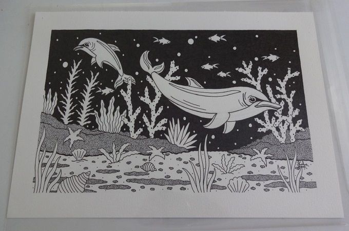 Dolphins Original Pen And Ink Drawing By English Artist Sharon Godwin