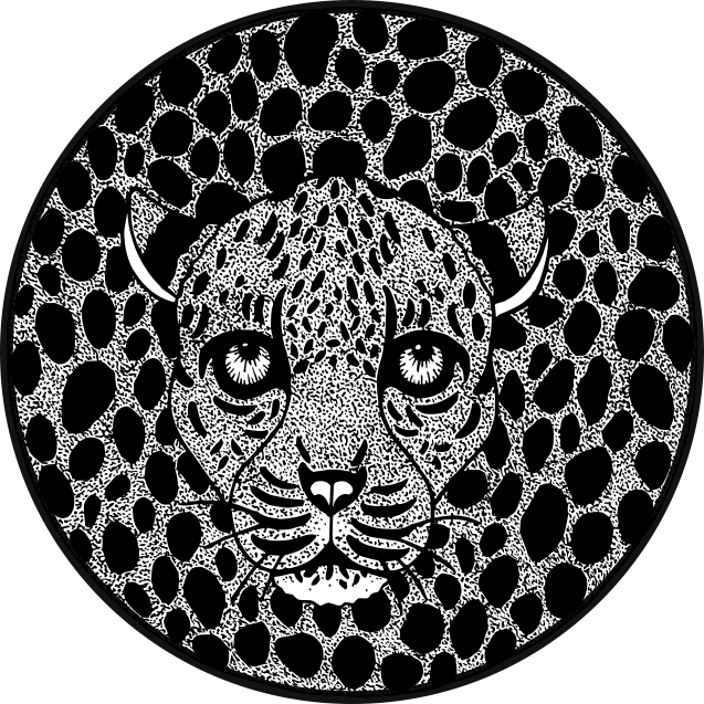 S Godwin Studio Official Logo