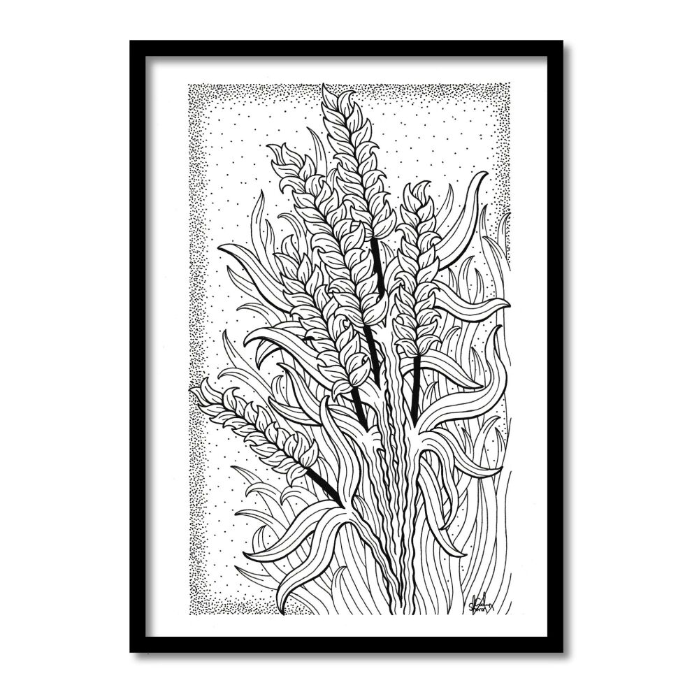 Wheat Original Art Pen And Ink Drawing For Sale | S Godwin Studio