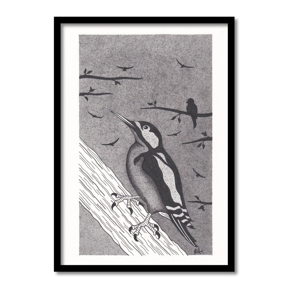 Woodpecker Original Art Pen And Ink Drawing For Sale | S Godwin Studio