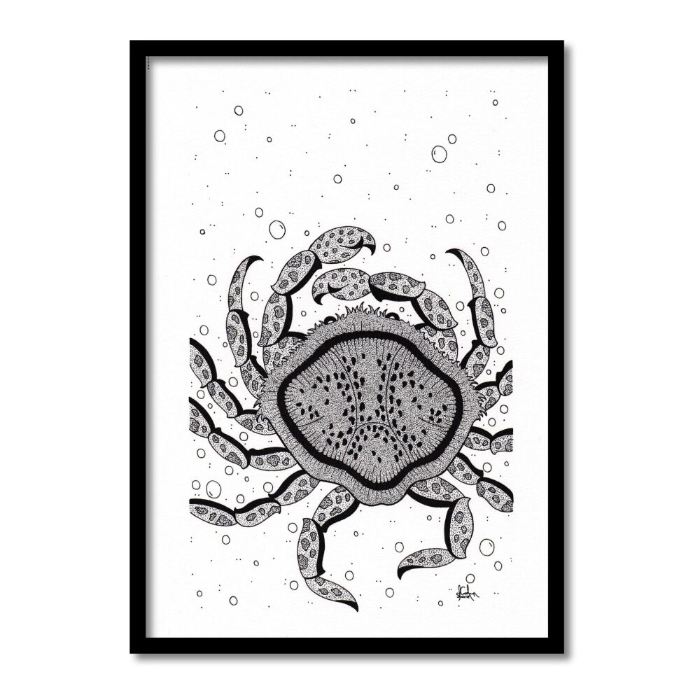 Crab Original Art Pen And Ink Drawing For Sale | S Godwin Studio