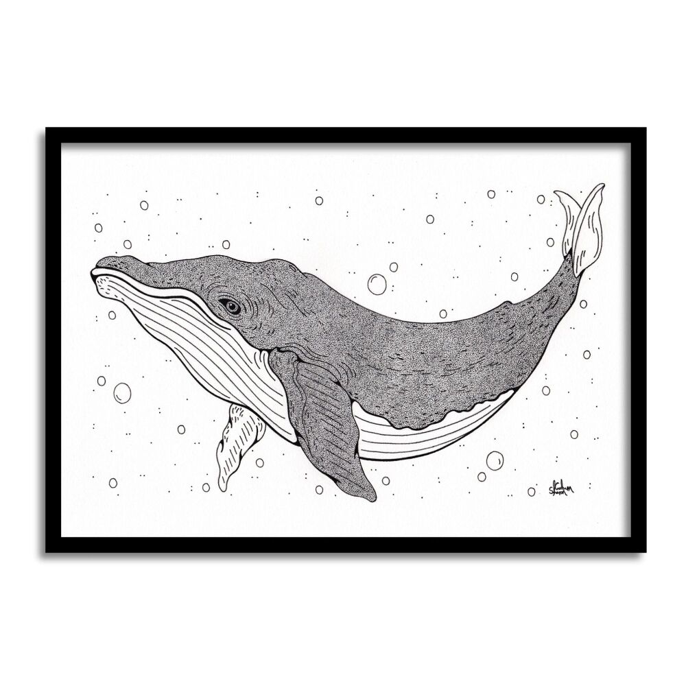 Whale Original Art Pen And Ink Drawing For Sale | S Godwin Studio