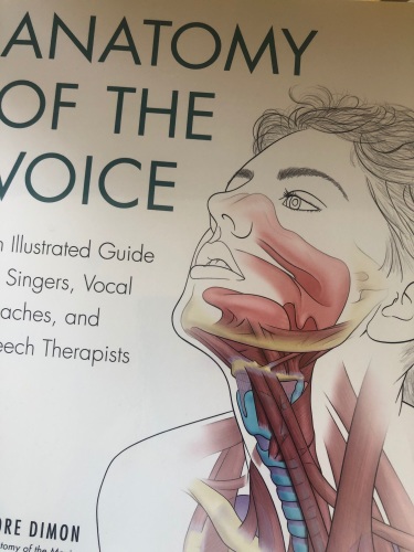 Anatomy of Lorraine Ansell Voice