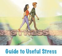 Guide icon - Useful Stress (Lean page)