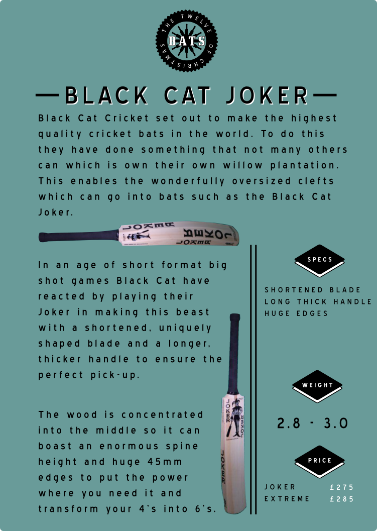12 bats black cat
