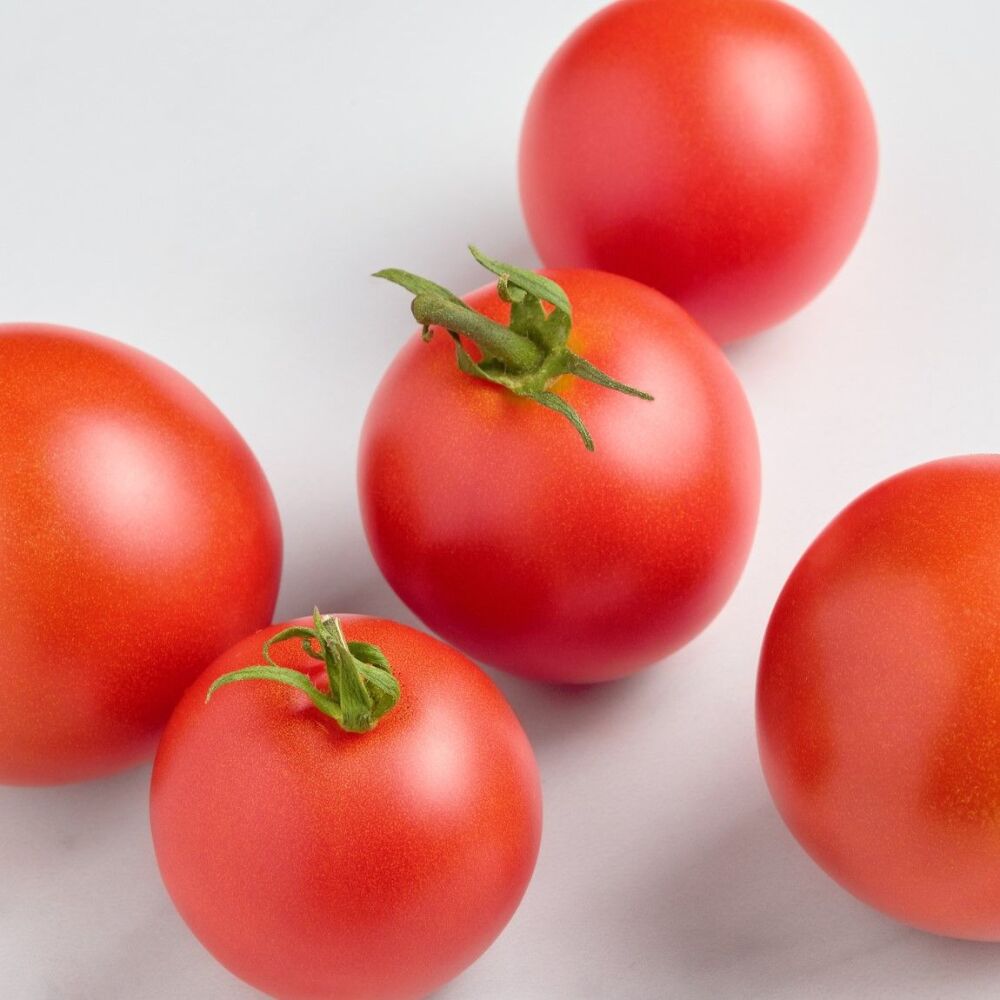 Tomato plants, outdoor girl x 3 plug plants, pre order delivery late April