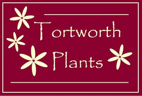 Tortworth Plants Logo