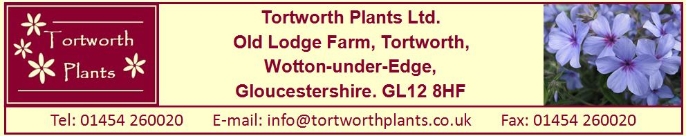 Tortworth Plants Ltd., site logo.