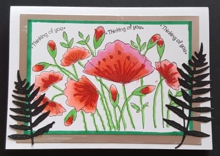 GC 2019 - Thinking of You - Poppies and ferns C6 white card - HD, Saway, Pr