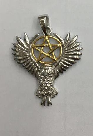 Spell keeper flying owl with scroll pendant only