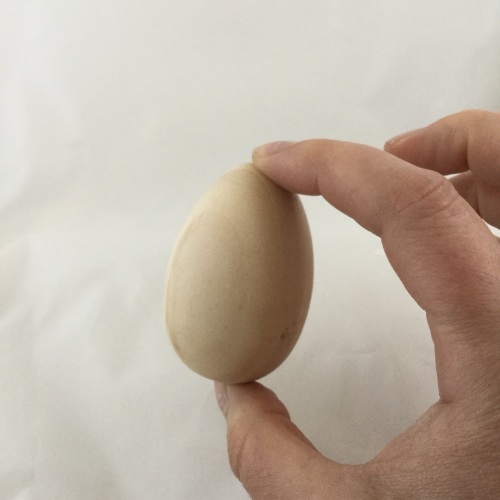 solid wooden egg