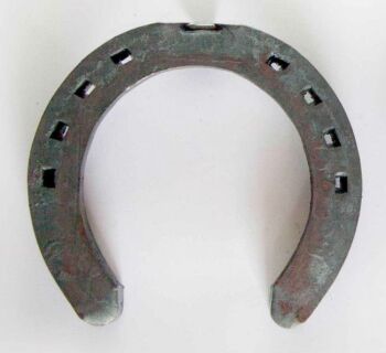 #4 Magpie Driving Shoes (25x12mm)
