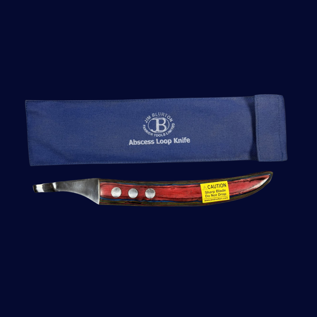 Jim Blurton Abscess Loop Knife