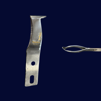 Bassoli Ottavia Loop Knife - blade only