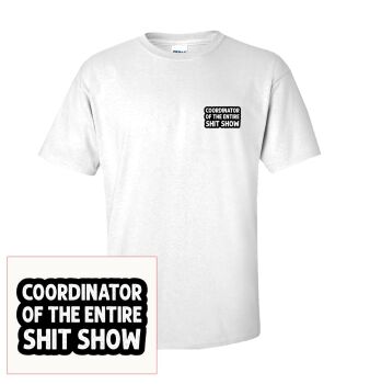CO ORDINATOR OF THE ENTIRE SHITSHOW T SHIRT
