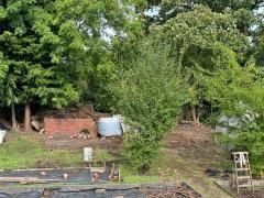 Allotment 4
