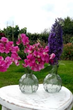 Dimple Bud Vases