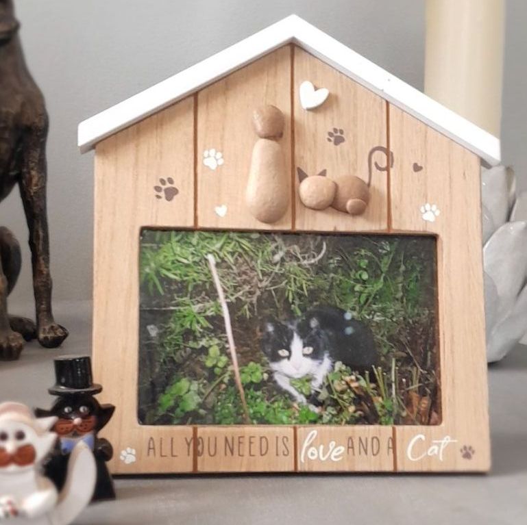 Cat & Dog Wooden Frames