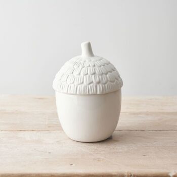 White Acorn Container