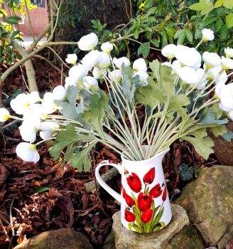 Tulip Jug