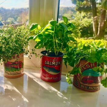 Vintage Tin Planter Sets