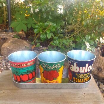 Retro Tin Planter Trio