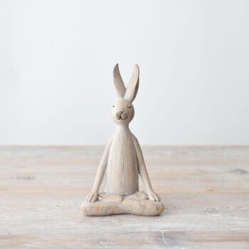 Yoga Rabbit