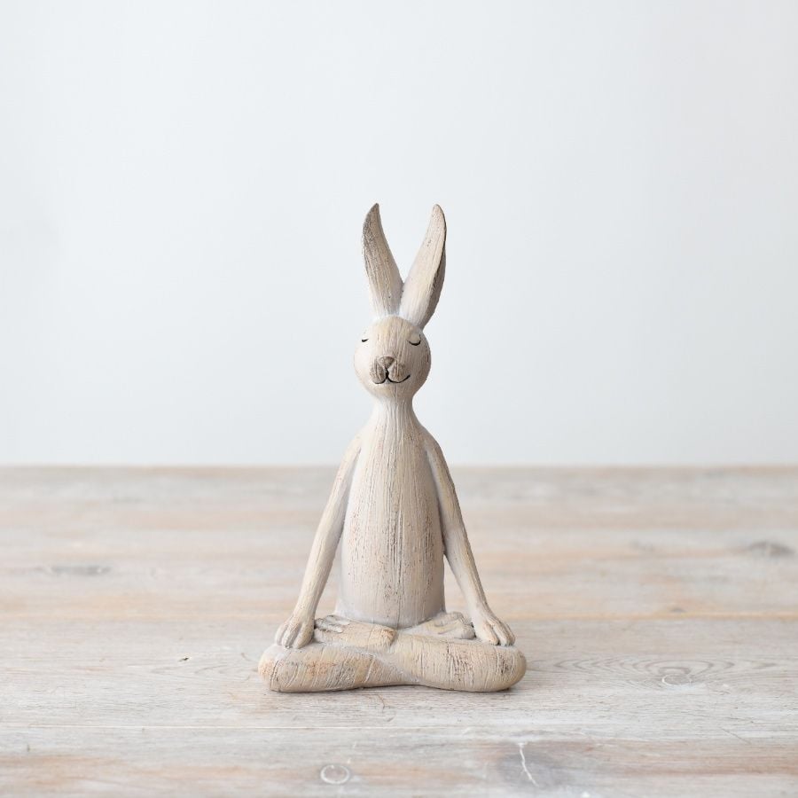 Yoga Rabbit